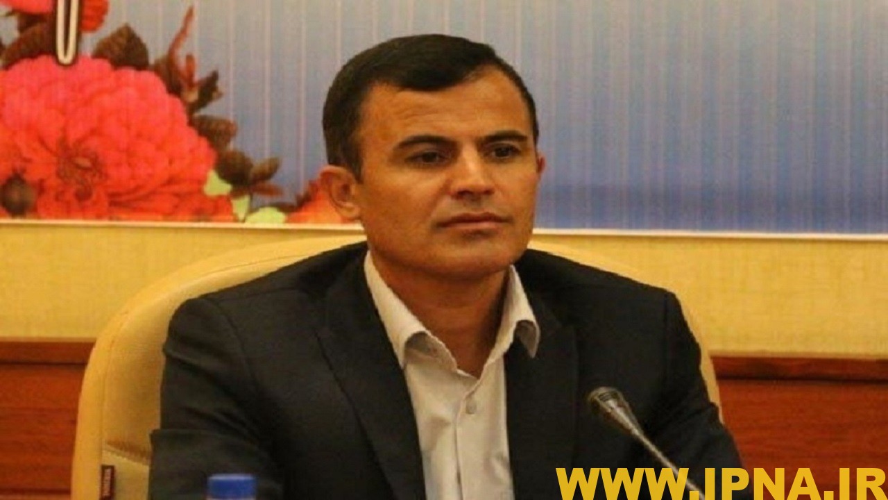 همه ورزشکاران نخبه در مسابقات بین المللی جام امام رضا حضور داشتند