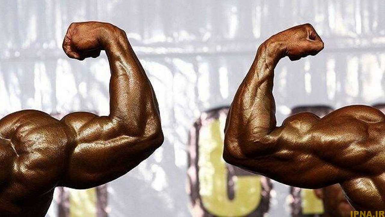 خطر بیخ گوش فدراسیون جهانی پرورش اندام