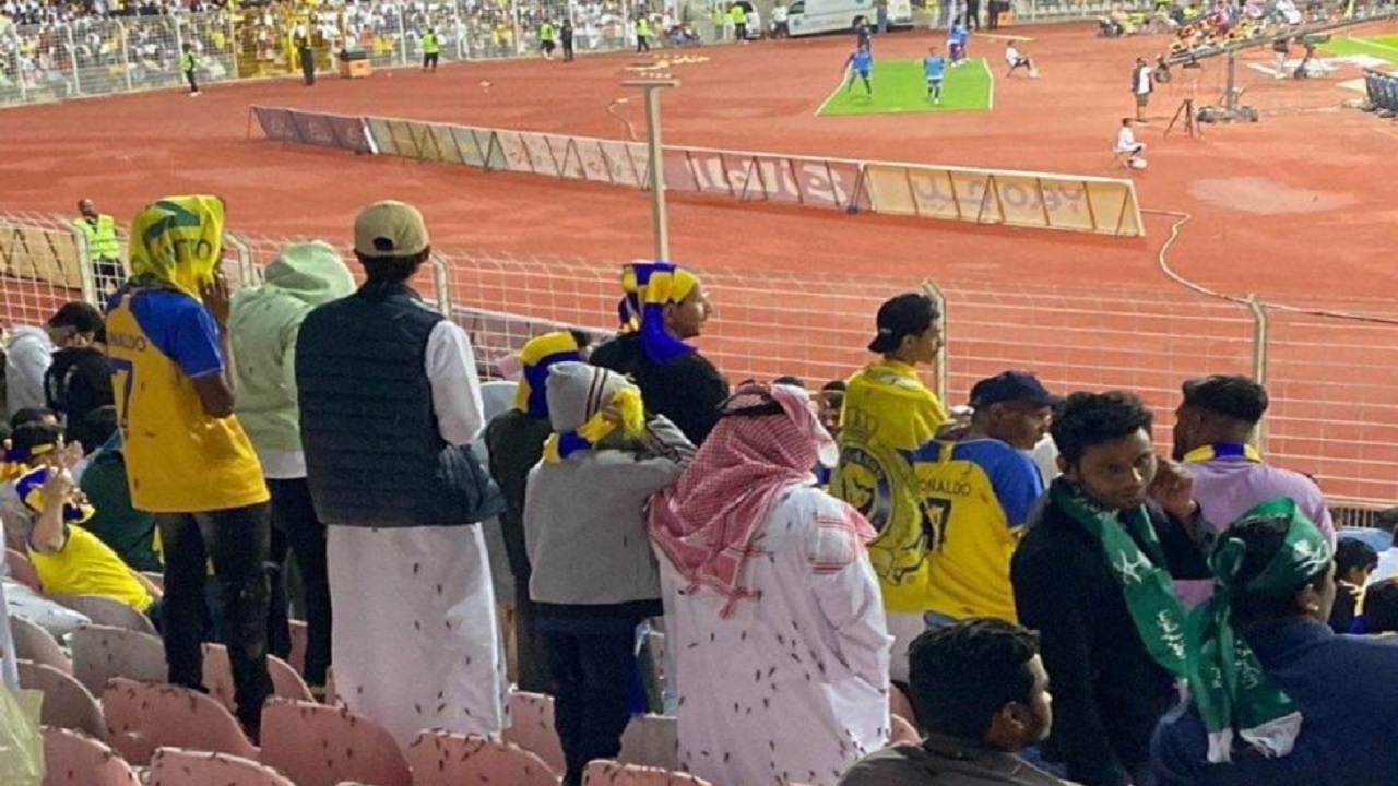 حمله وحشتناک ملخ‌ها به بازی رونالدو و تیمش