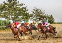 روز پرهیجان اسبدوانی در گنبد و برتری آکام وحدانی تا رز بولت در هفت دور پیاپی