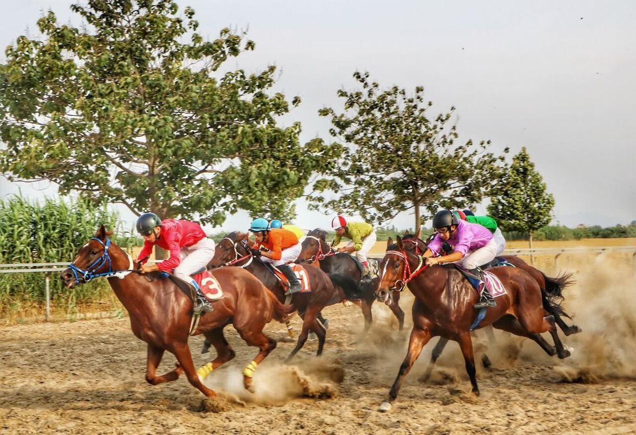 روز پرهیجان اسبدوانی در گنبد و برتری آکام وحدانی تا رز بولت در هفت دور پیاپی