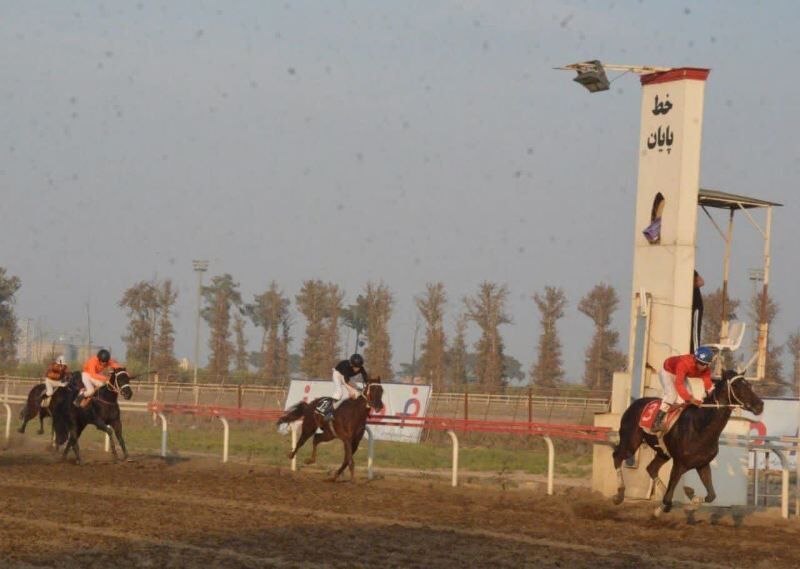 رقابت ۲۴۰ اسب در گنبدکاووس؛ کورس پاییزه با ۲۱ دور و جوایز میلیاردی