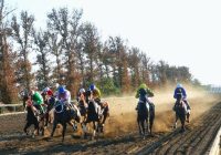 ۲۰۲ اسب در کورس پاییزه گنبدکاووس رقابت می‌کنند و بیش از ۷۳ میلیارد ریال جایزه نقدی در انتظار برندگان