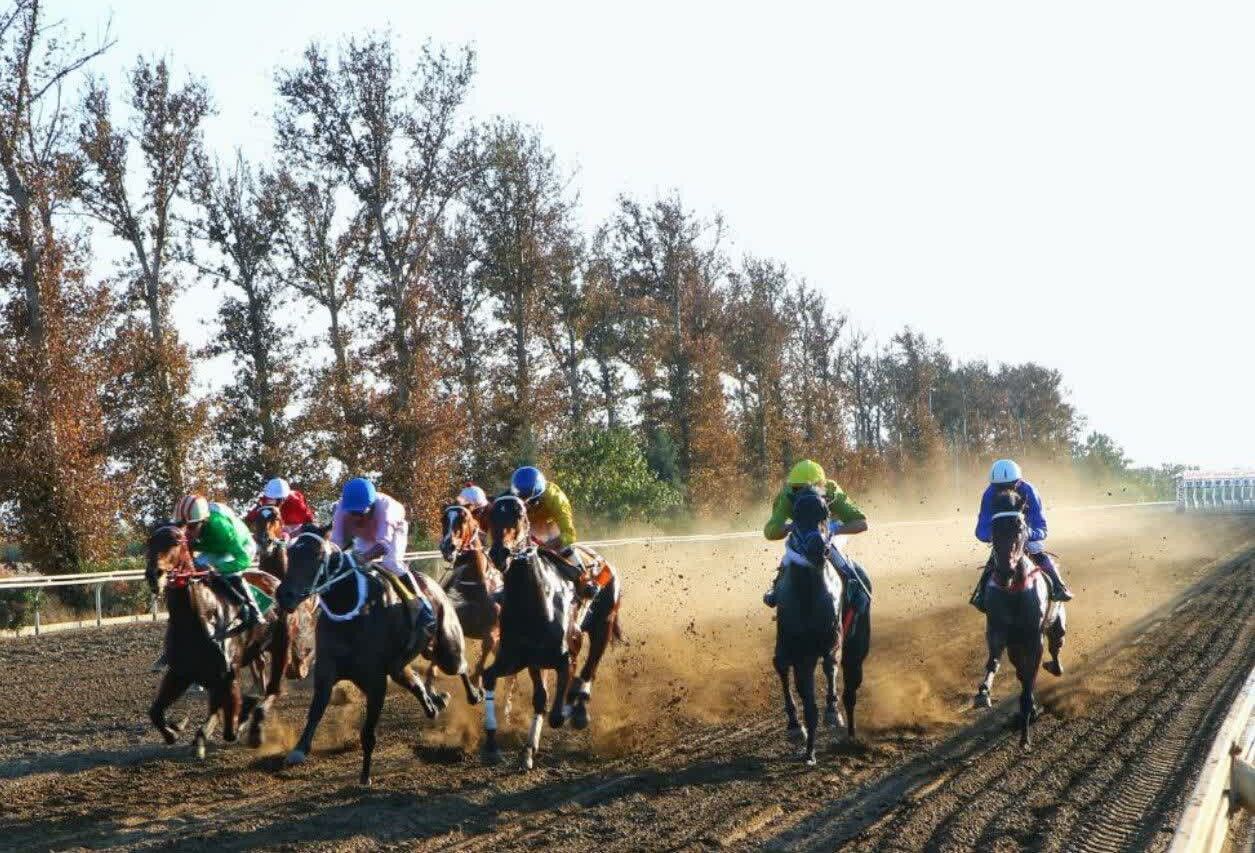 ۲۰۲ اسب در کورس پاییزه گنبدکاووس رقابت می‌کنند و بیش از ۷۳ میلیارد ریال جایزه نقدی در انتظار برندگان