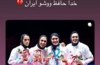الهه منصوریان از هدایت تیم ملی ووشوی بانوان کنار رفت و آینده کادرفنی در ابهام قرار گرفت