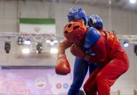 لغو لیگ برتر ووشو زنان به دلیل برودت هوا و مشکلات تردد