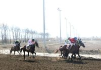 قهرمانان متنوع در هفته یازدهم کورس اسبدوانی گنبدکاووس معرفی شدند