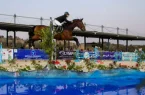 آغاز تدوین سند راهبردی ۱۰ ساله سوارکاری ایران