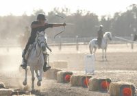 محمدفؤاد اکبری قهرمان قهرمانان کمانگیری روی اسب شد محمدفؤاد اکبری قهرمان قهرمانان کمانگیری روی اسب شد
