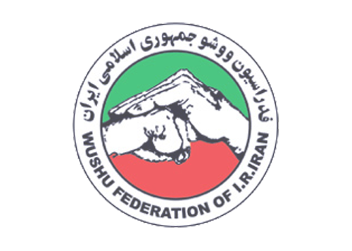 رئیس و ۲۱ عضو جدید کمیته فنی ووشو معرفی شدند