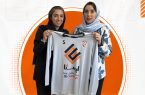 سنگین ماشین ایستا یک انتخاب مهم و قدرتمند برای قفس توری خود انجام داد
